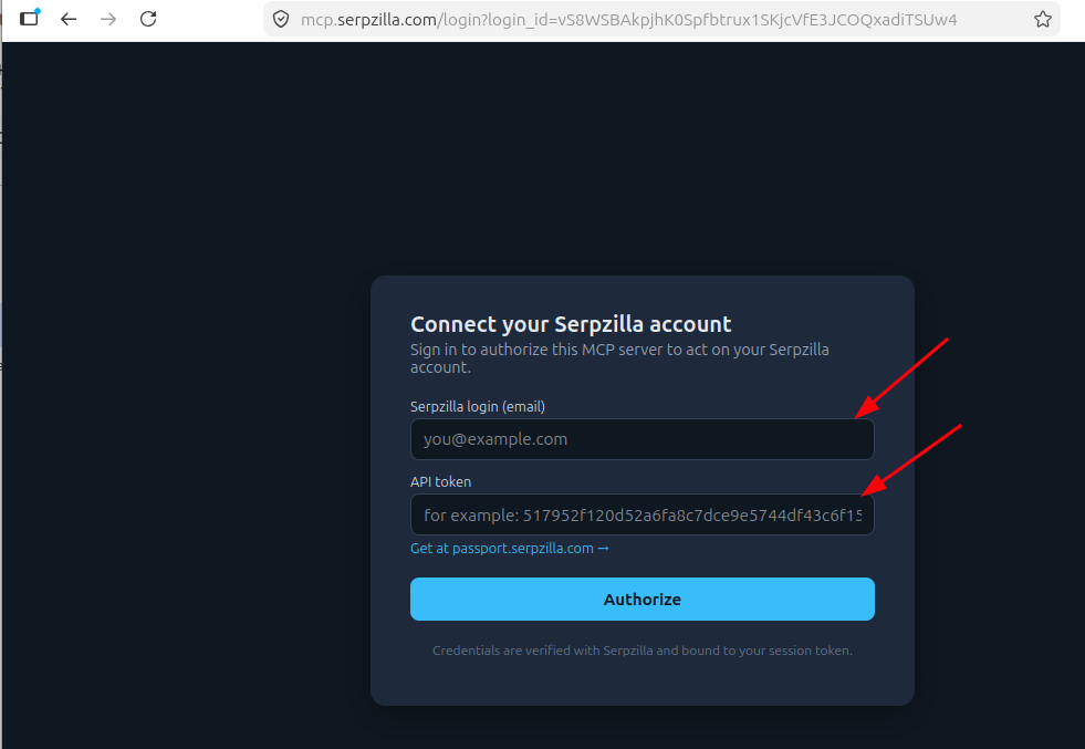 Authorizing the MCP connection