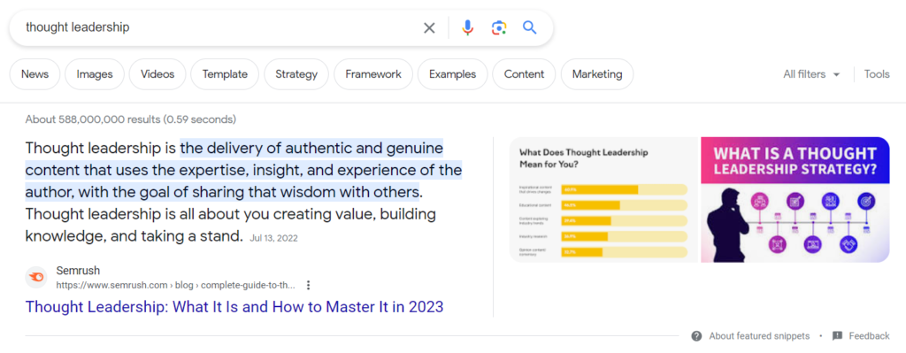 Google thought leadership snippet