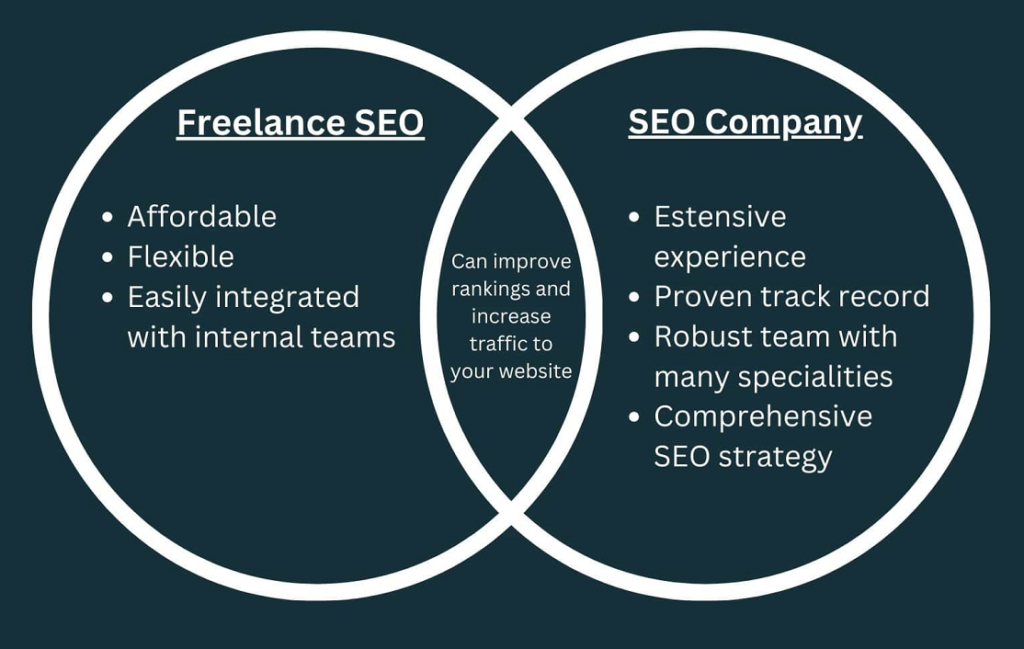 SEO expertise example