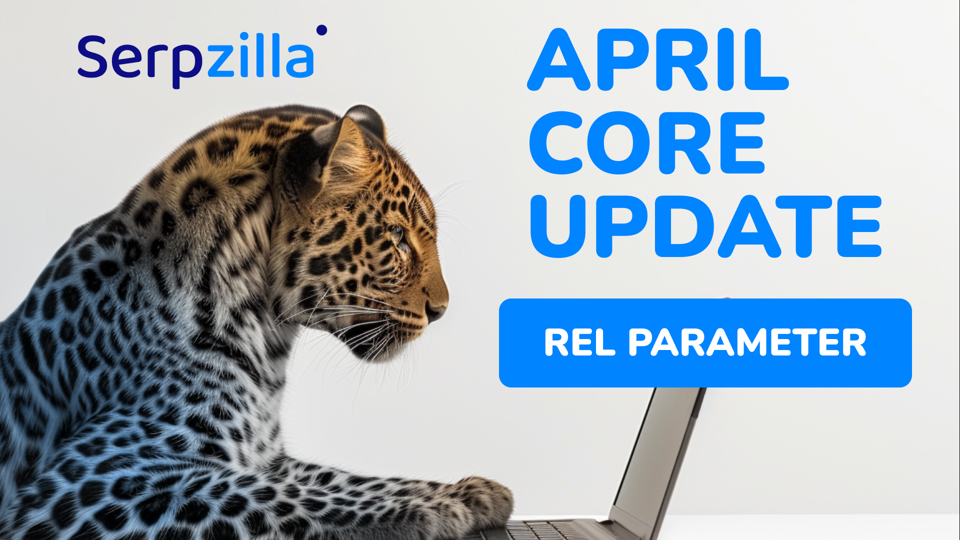 New Features in Serpzilla: Place Guest Posts with the rel attribute with just one click