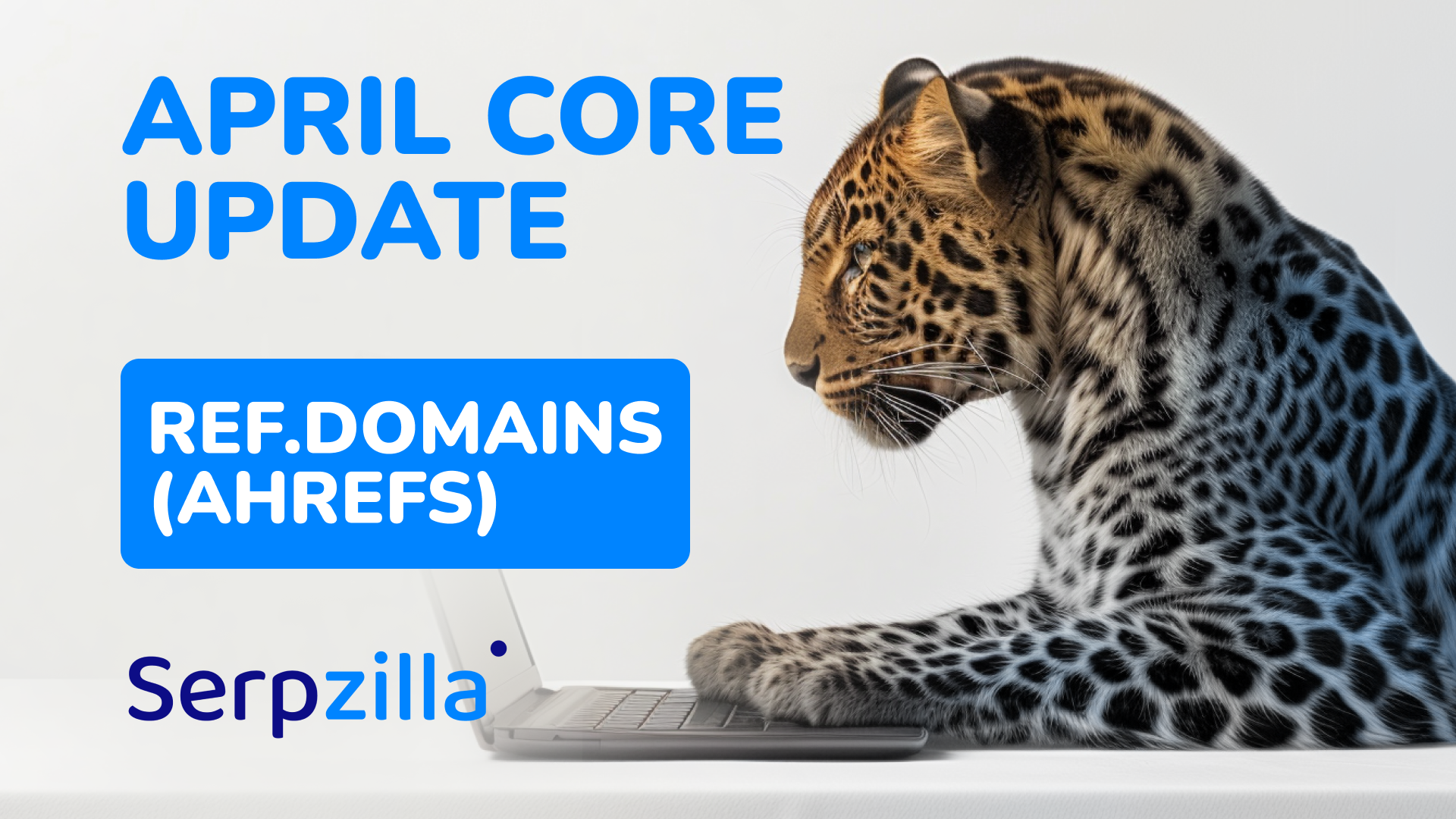 New Feature in Serpzilla: Discover the number of incoming domains from donor websites