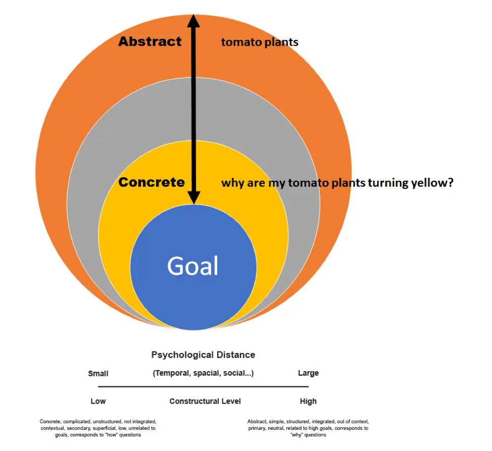 Image of a goal